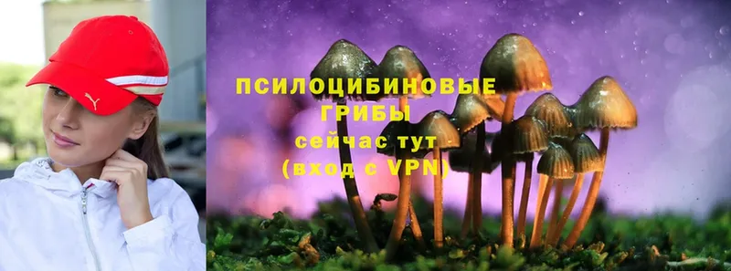 Псилоцибиновые грибы MAGIC MUSHROOMS Нижняя Салда